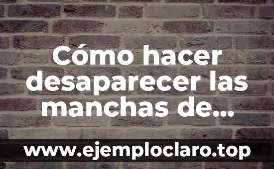 Ganador de Tu Cara Me Suena Gala 3: ¿Quién Fue el Mejor? 4 Cómo hacer desaparecer las manchas de acne de la cara