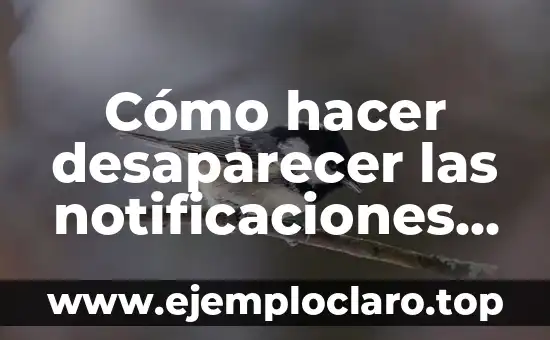 Cómo hacer desaparecer la inchazón de un golpe rápido 8 Cómo hacer desaparecer las notificaciones del Moto G 7