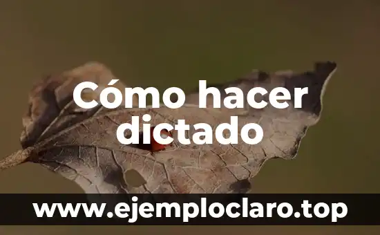 Como hacer faroles navideños con botellas plásticas paso a paso 5 Cómo hacer dictado