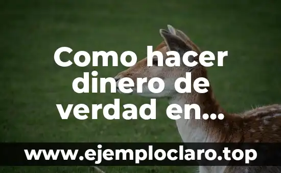 Como hacer dinero de verdad en internet