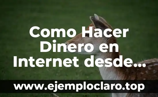 Como Hacer Dinero en Internet desde Casa