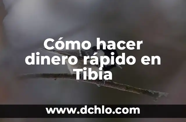 ¿Quién tiene más dinero, Shakira o Piqué? 5 Cómo hacer dinero rápido en Tibia