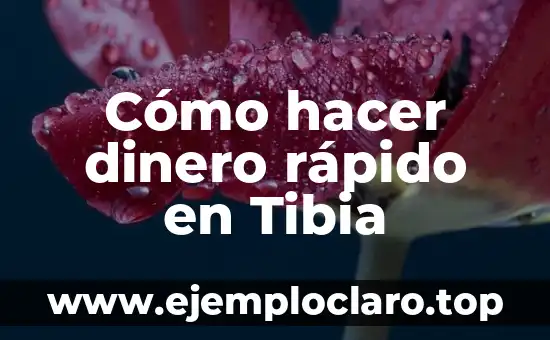 Cómo hacer dinero rápido en Tibia