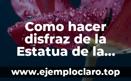 El Significado de Libertad Corto 6 Como hacer disfraz de la Estatua de la Libertad