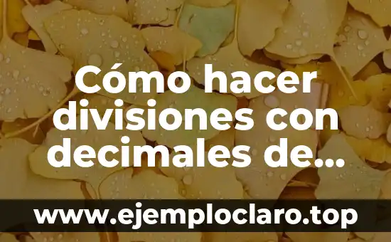 Concepto de Cifras Significativas y Ejemplos 3 Cómo hacer divisiones con decimales de dos cifras