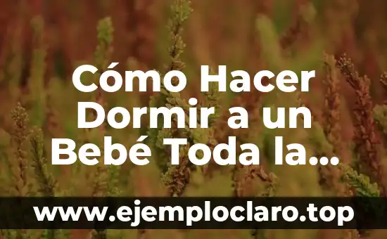 Cómo Hacer Dormir a un Bebé Toda la Noche