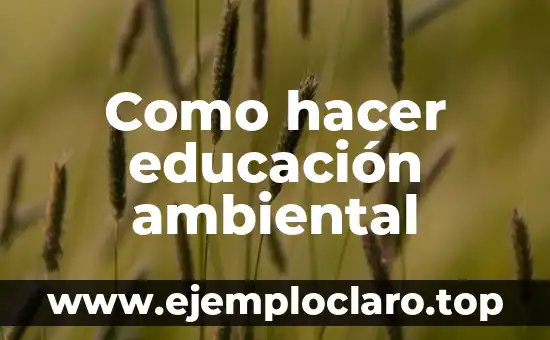 Significado del Sistema de Educación Nacional 4 Como hacer educación ambiental