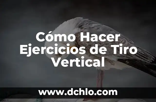 Como hacer dardos para tiro al blanco caseros 7 Cómo Hacer Ejercicios de Tiro Vertical