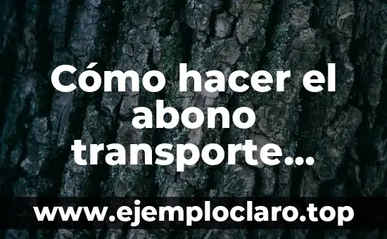 Cómo hacer el abono transporte Madrid
