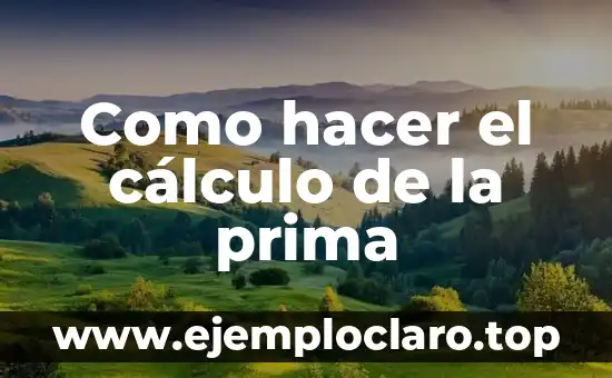 Como hacer el cálculo de la prima