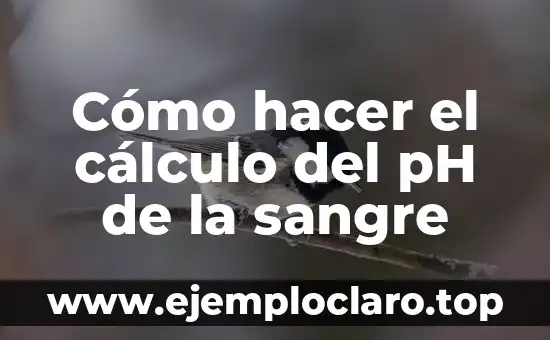C贸mo hacer ph 5 C贸mo hacer el c谩lculo del pH de la sangre