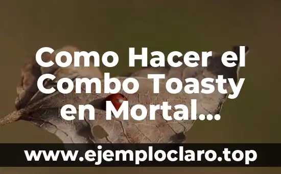 Como Hacer el Combo Toasty en Mortal Kombat Shaolin Monks