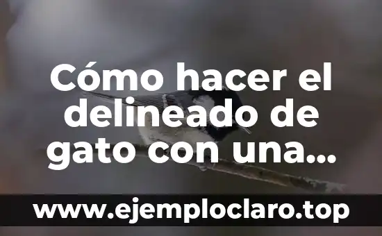 Cómo hacer el delineado de gato con una cuchara