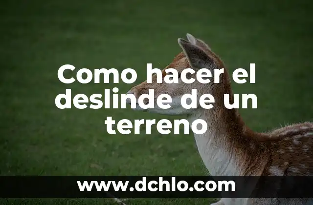 C贸mo hacer para que no me importe nada 6 Como hacer el deslinde de un terreno