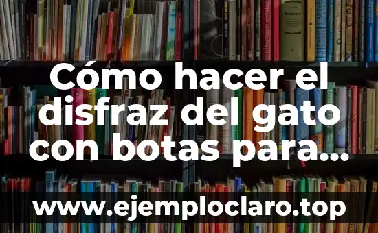 Cómo hacer el disfraz del gato con botas para niños