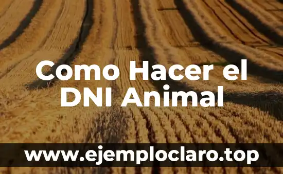 Como Hacer el DNI Animal