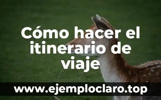 Cómo hacer el itinerario de viaje