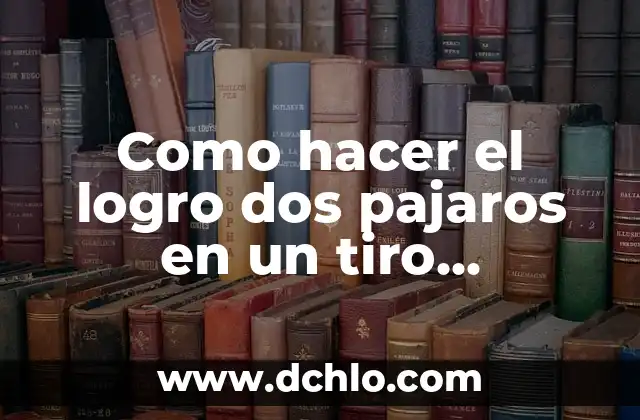 Como hacer dardos para tiro al blanco caseros 5 Como hacer el logro dos pajaros en un tiro Minecraft