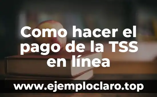 Introducci贸n al Concepto de Comprobante de Pago de Derechos 4 Como hacer el pago de la TSS en l铆nea