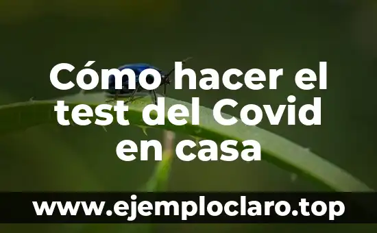 Como hacer el tejado de una casa 4 Cómo hacer el test del Covid en casa