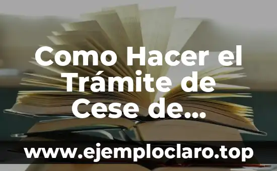 Como Hacer el Trámite de Cese de Convivencia Online