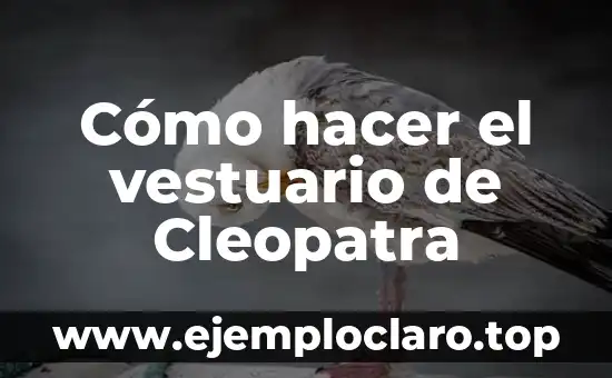 Cómo hacer el vestuario de Cleopatra