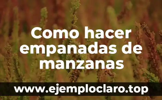 Como hacer empanadas de manzanas
