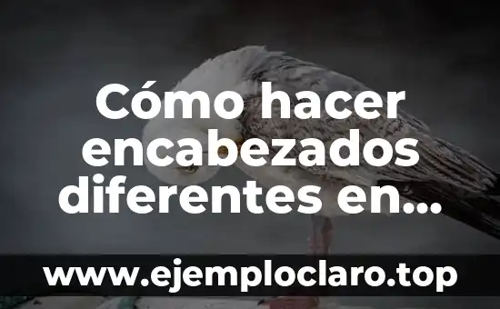 Cómo hacer encabezados diferentes en Word