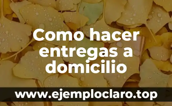Como hacer entregas a domicilio