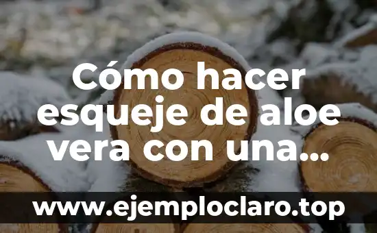 Cómo hacer esqueje de aloe vera con una hoja