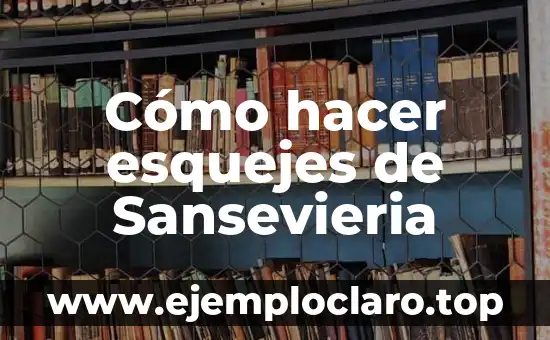 Cómo hacer esquejes de Sansevieria