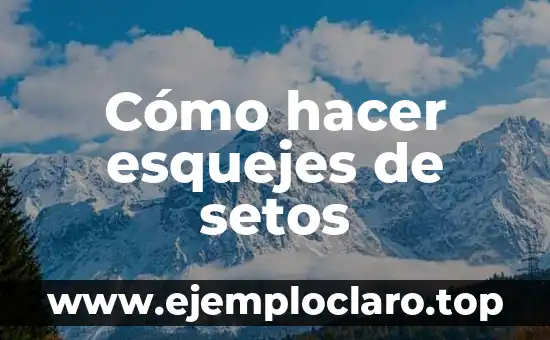Cómo hacer esquejes de setos