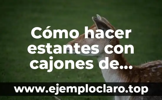 Como Hacer Corte Circular en Madera 8 Cómo hacer estantes con cajones de madera