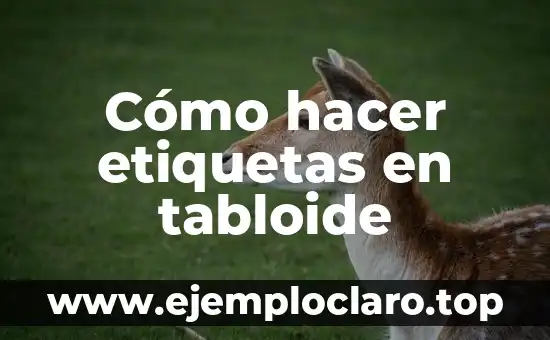 Cómo hacer etiquetas en tabloide