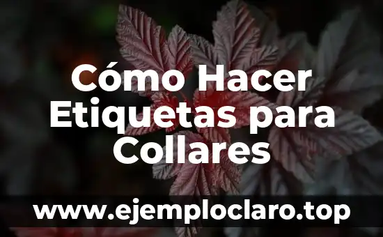Cómo Hacer Etiquetas para Collares