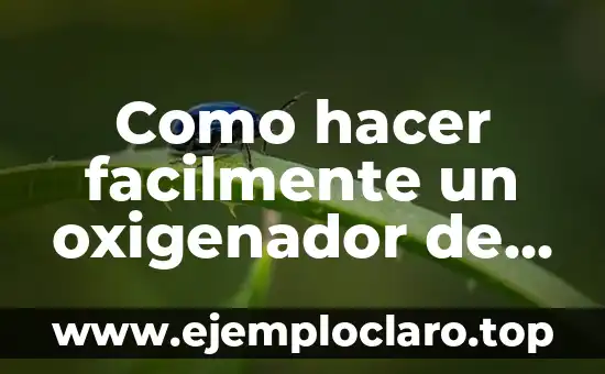 Como hacer facilmente un oxigenador de agua casero