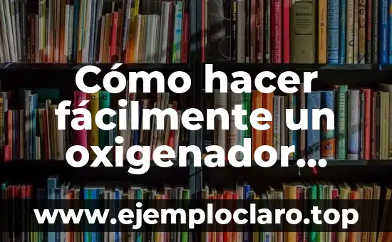 Cómo hacer fácilmente un oxigenador manual de agua