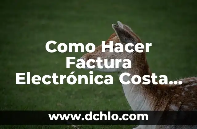 Significado Bandera de Costa Rica 7 Como Hacer Factura Electrónica Costa Rica Hacienda