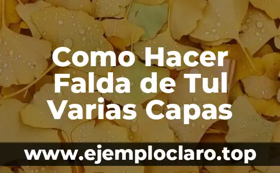 C贸mo hacer 2 capas distintas en Flash Professional CS6 6 Como Hacer Falda de Tul Varias Capas