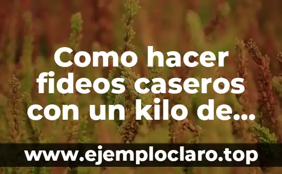 Como hacer fideos caseros con un kilo de harina