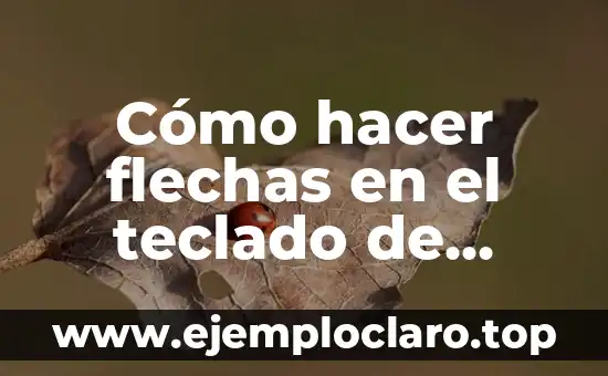Cómo hacer más rápida una laptop vieja 6 Cómo hacer flechas en el teclado de laptop
