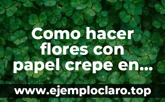 Cómo hacer un abanico tricolor 4 Como hacer flores con papel crepe en forma de abanico
