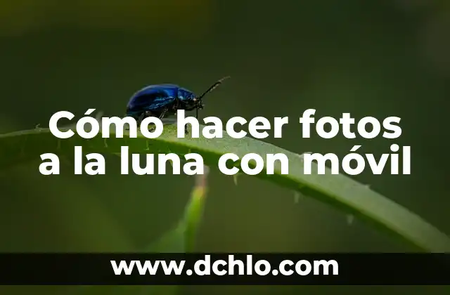 Cómo Borrar Historial en el Móvil: Una Guía Completa 6 Cómo hacer fotos a la luna con móvil