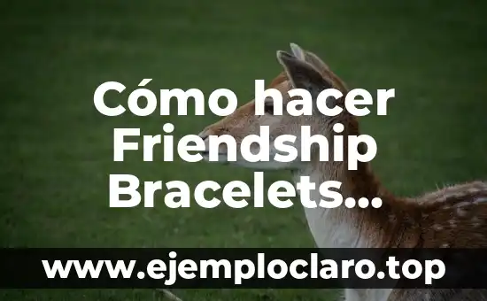 Cómo hacer Friendship Bracelets Taylor Swift