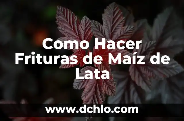Cómo hacer tortitas de maíz tierno 3 Como Hacer Frituras de Maíz de Lata
