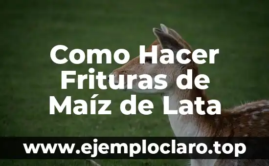 Como Hacer Frituras de Maíz de Lata