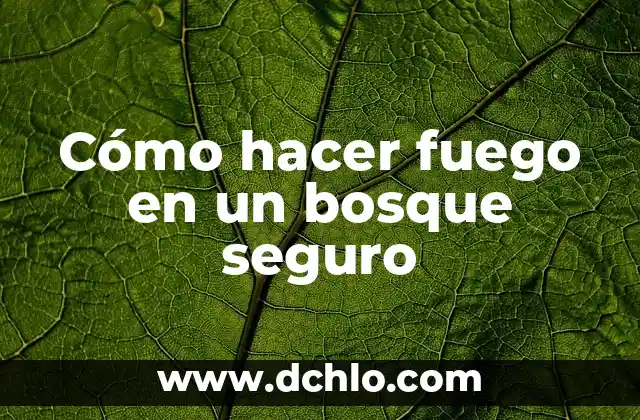 Significado de las Lenguas de Fuego 5 Cómo hacer fuego en un bosque seguro