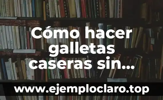 C贸mo hacer masa madre sin gluten 8 C贸mo hacer galletas caseras sin gluten