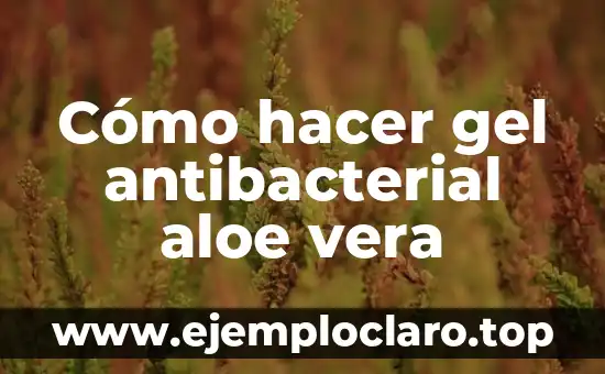 Cómo hacer gel antibacterial aloe vera
