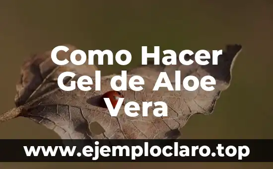 Como Hacer Gel de Aloe Vera